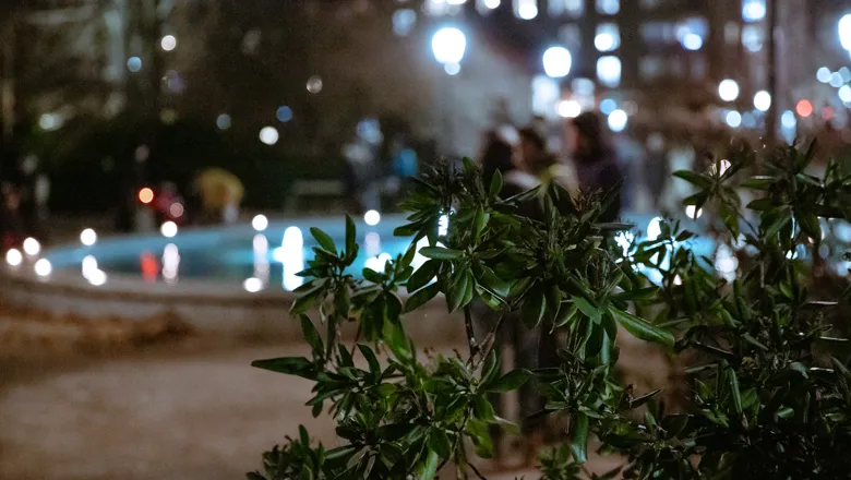 Ett suddigt foto av belysning i Trädgårdsföreningen under Vinterljus.