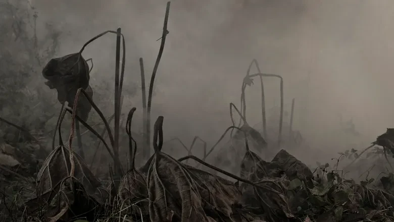 Illustration med vissna växter